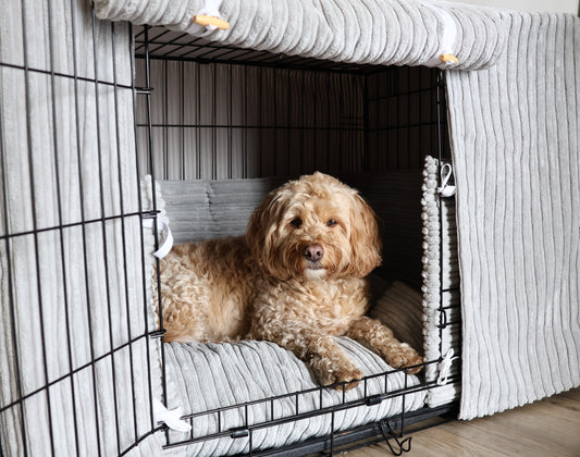 Should I Crate Train My Puppy?