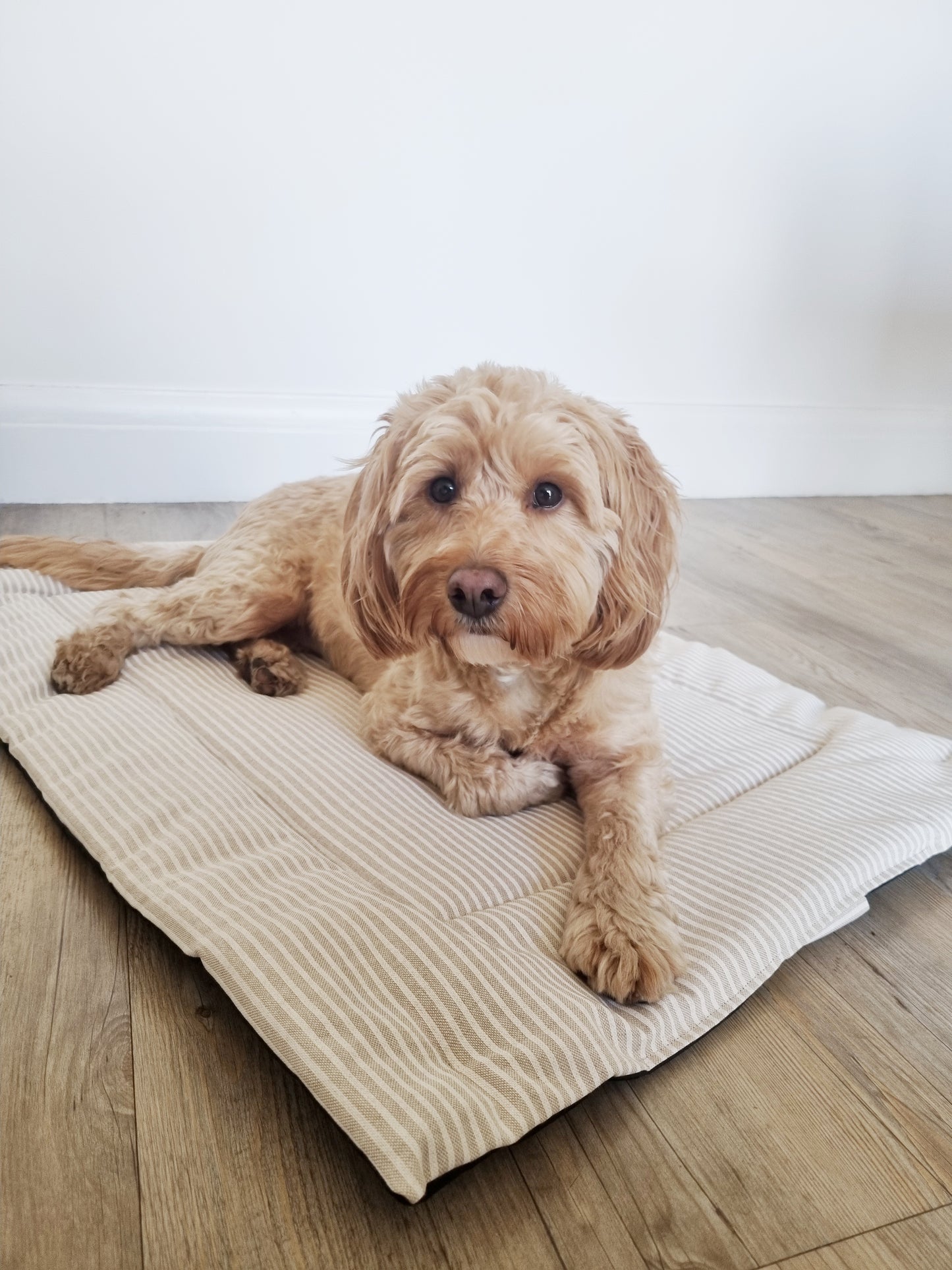 Neutral striped foldable dog settle mat with roll up fastening and strap to support with puppy settle training. This travel mat for dogs features a removable strap, a roll up fastening and a padded mat.