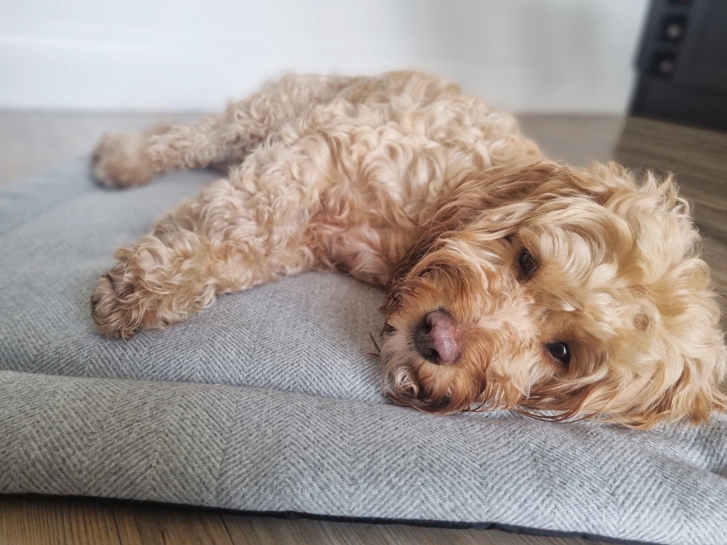 Grey padded herringbone dog settle mat with roll up fastening to support with puppy settle training.