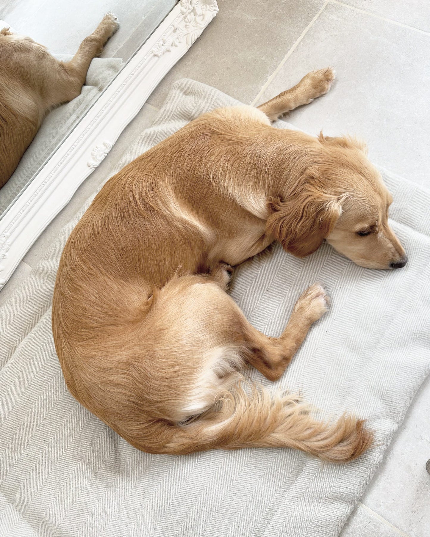 Neutral herringbone dog settle mat with roll up fastening to support with puppy settle training.