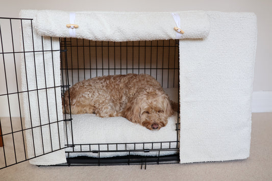 What Size Dog Crate Do I Need?