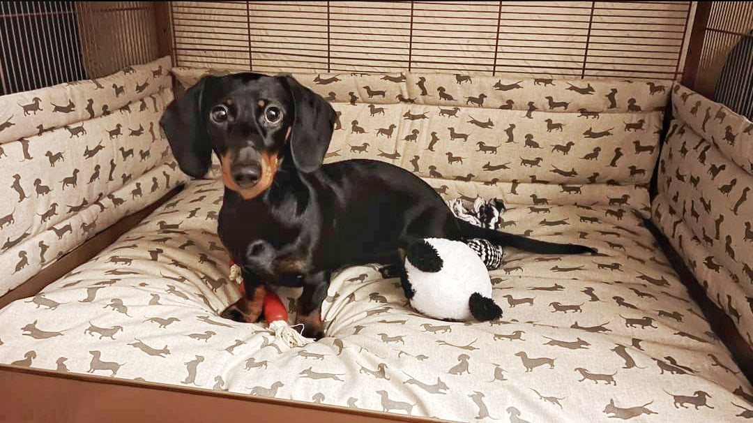 Dog crate bed and bumper set - Neutral dachshund design