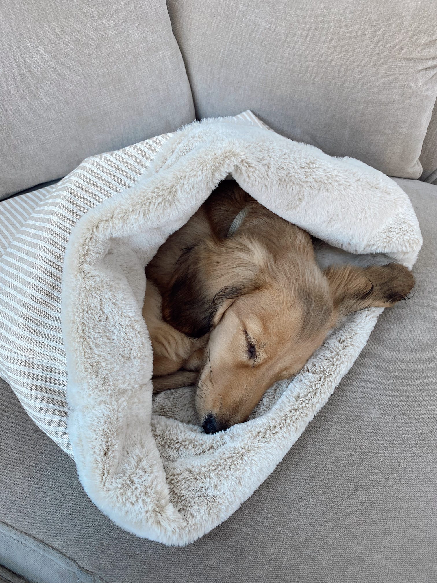 Neutral striped beige linen-look snuggle sack for dogs. This neutral snuggle den provides comfort and warmth to all dogs, cats, guinea pigs. Cave den for dachshunds and whippets.