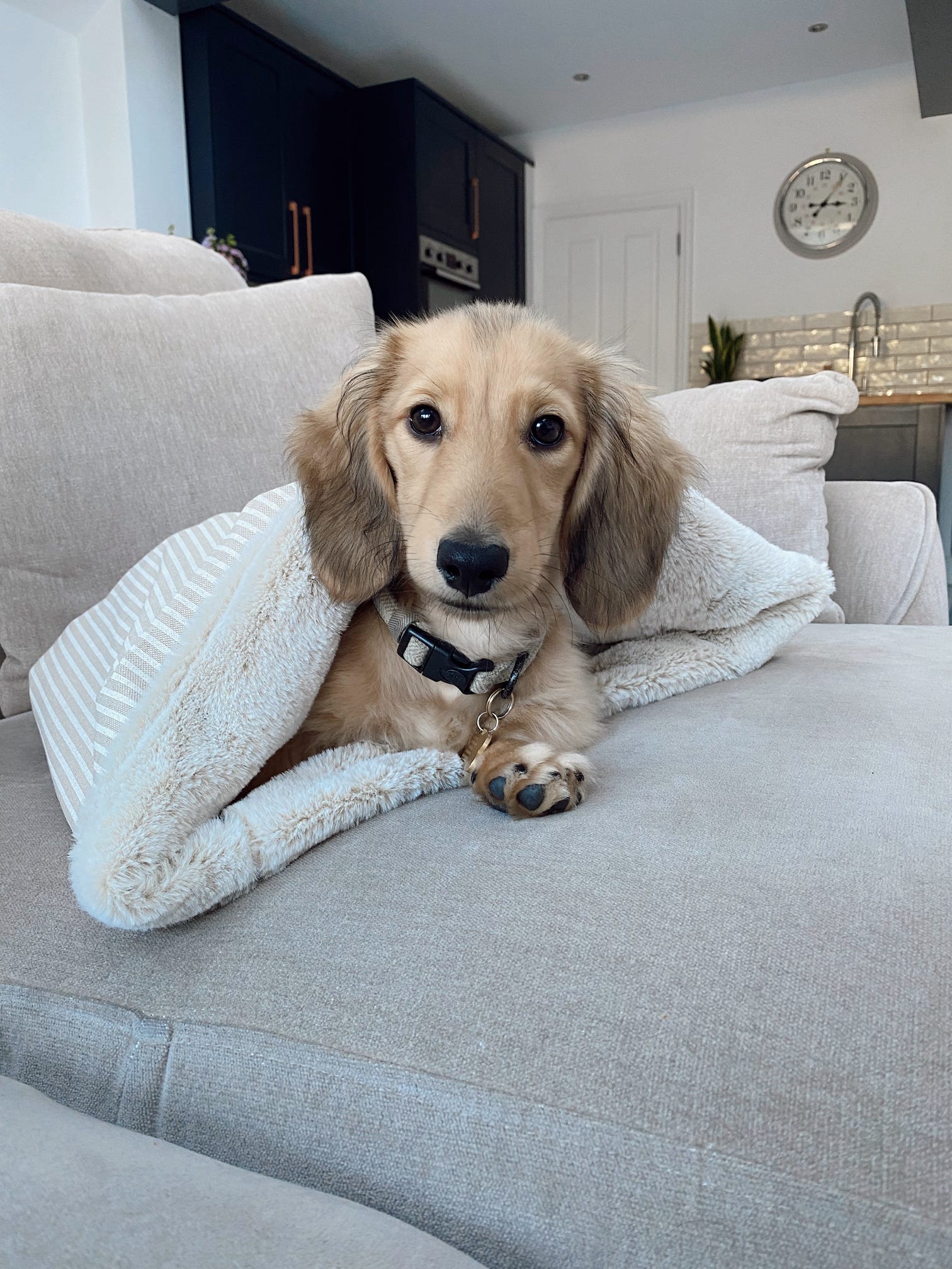 Neutral striped beige linen-look snuggle sack for dogs. This neutral snuggle den provides comfort and warmth to all dogs, cats, guinea pigs. Cave den for dachshunds and whippets.