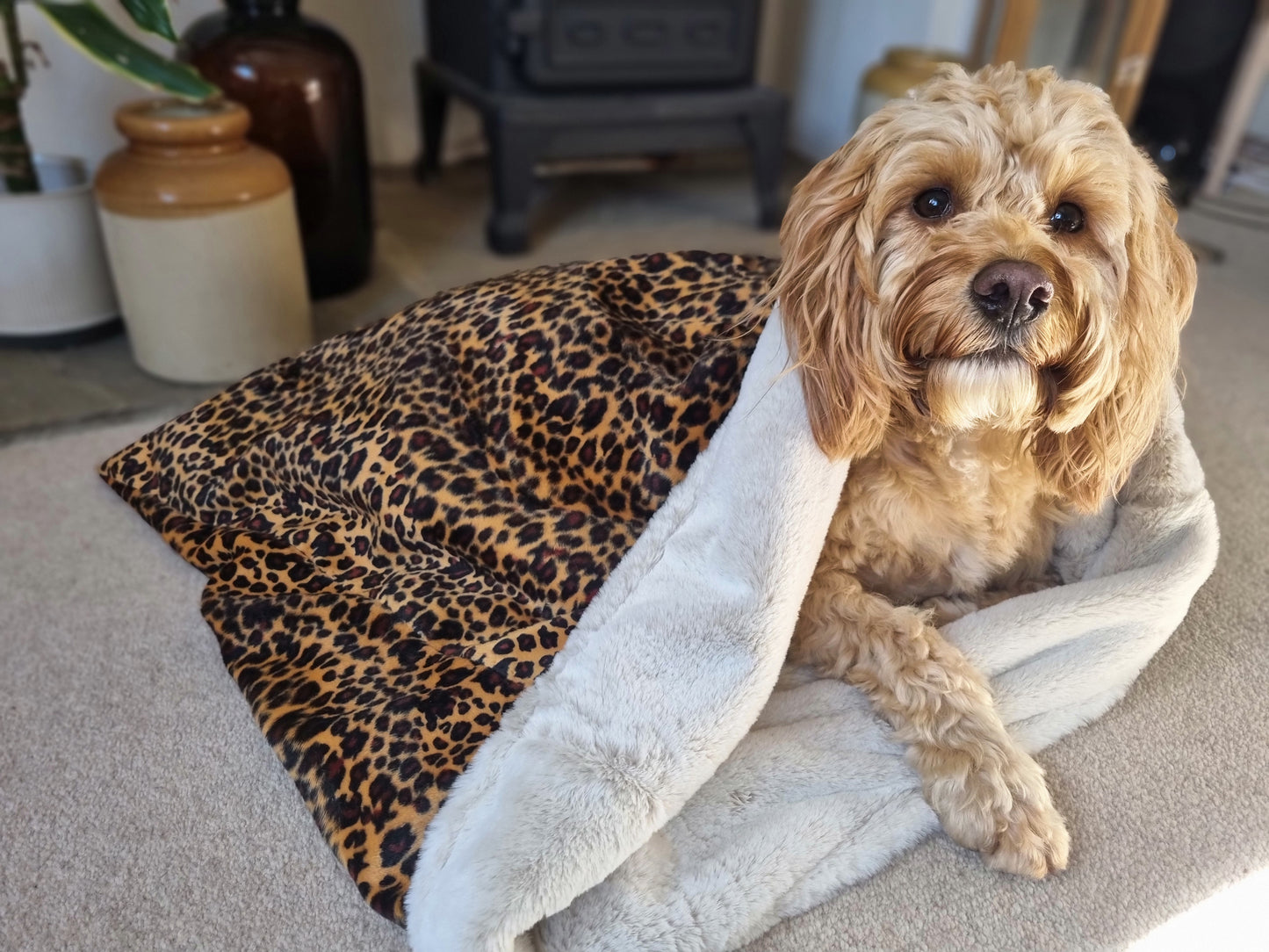 Leopard print snuggle sack for dogs. This animal print snuggle den provides comfort and warmth to all dogs, cats, guinea pigs.