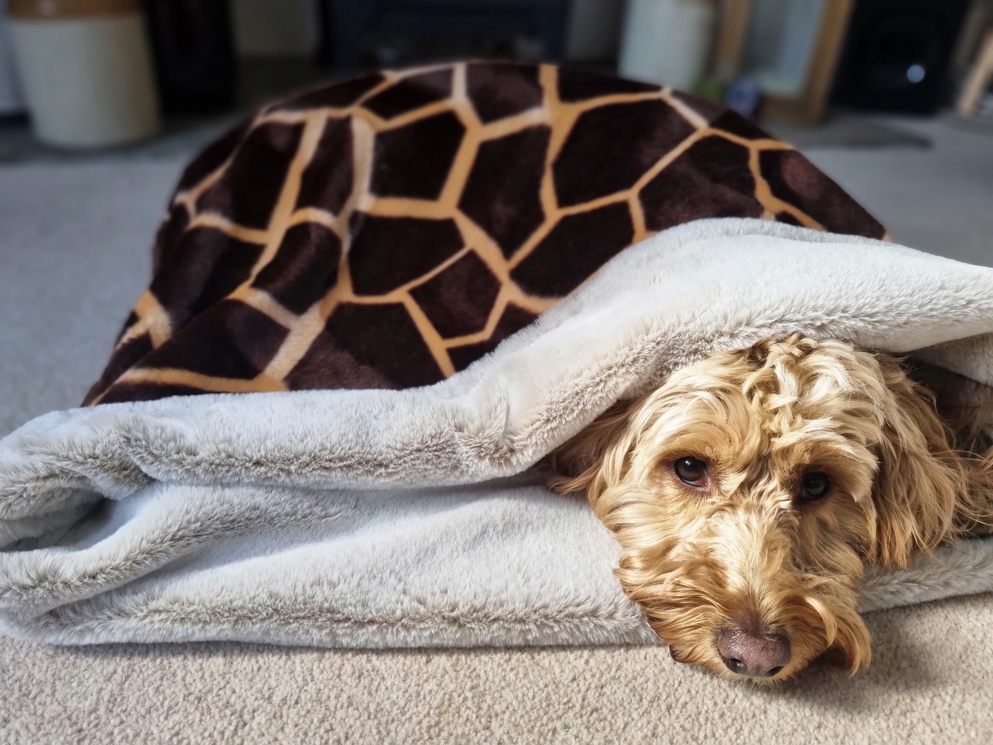 Giraffe print snuggle sack for dogs. This animal print snuggle den provides comfort and warmth to all dogs, cats, guinea pigs.