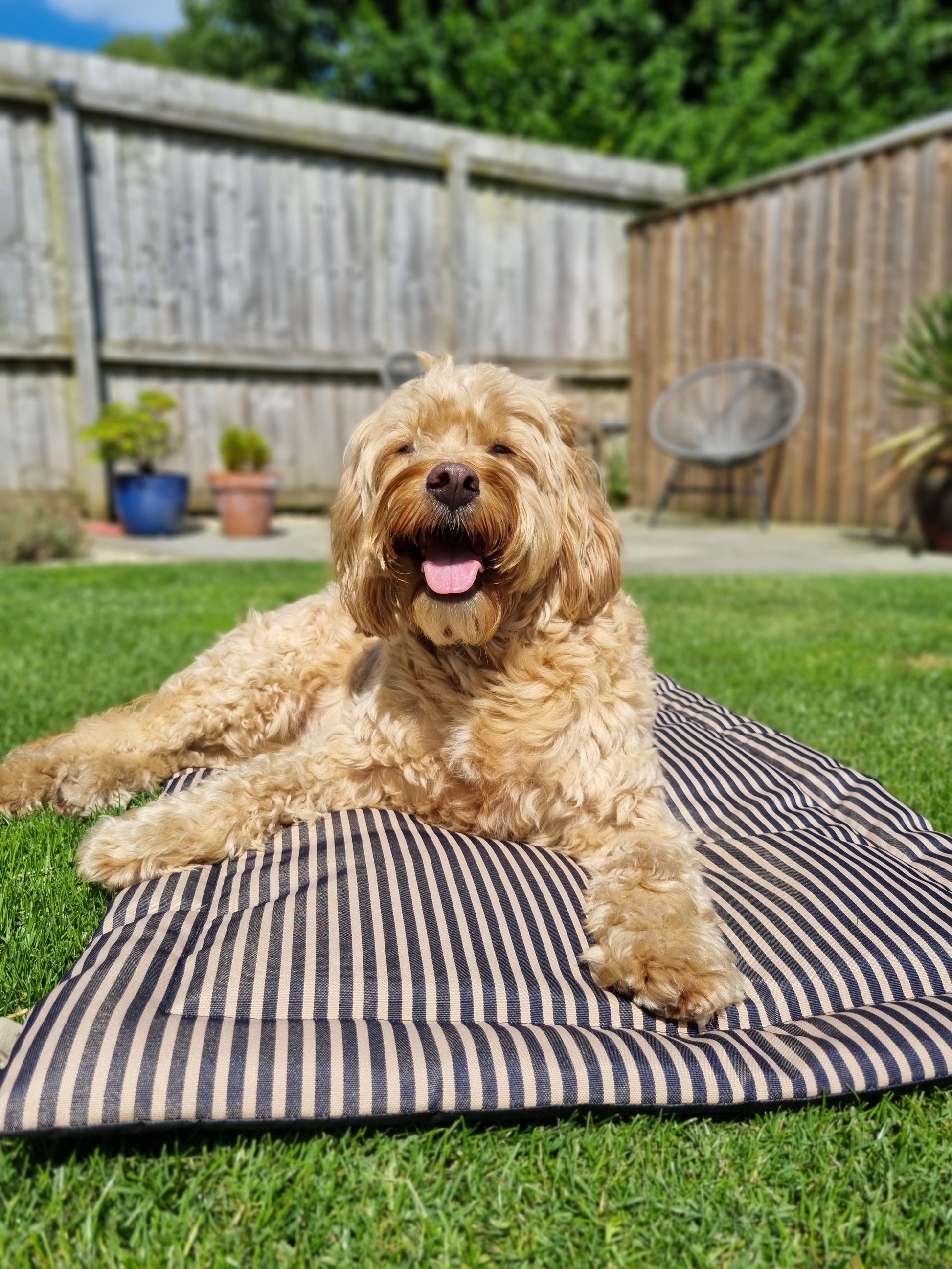 Water repellent navy striped foldable dog settle mat with roll up fastening and strap to support with puppy settle training.