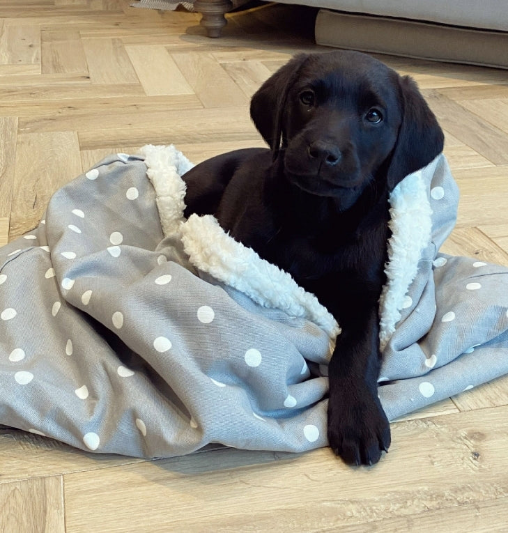 Grey spotty cotton snuggle sack for dogs. This neutral snuggle den provides comfort and warmth to all dogs, cats, guinea pigs. Featuring labrador puppy using the cave den.