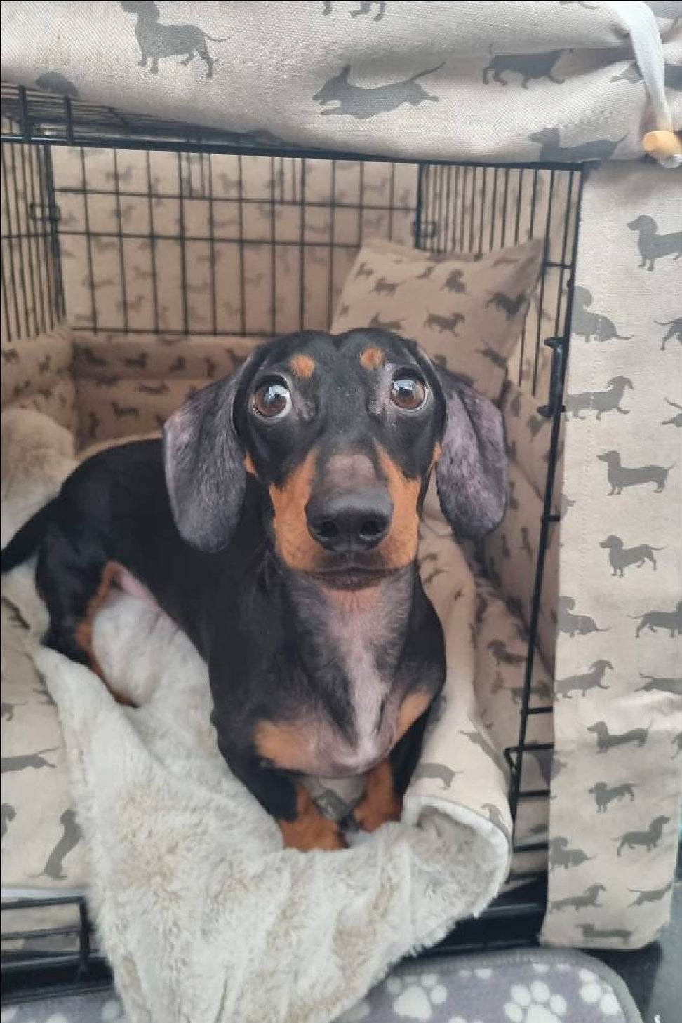 Dog crate set in neutral dachshund linen-look design. Featuring aesthetic dog crate bedding - cover, crate bumper and mattress. A perfect training aid for dog crate training. 