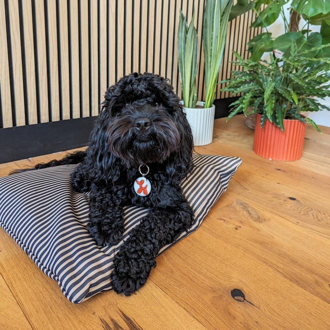 Striped water repellent dog pad. Crate pads for dogs. Memory foam crate pad with washable cover.