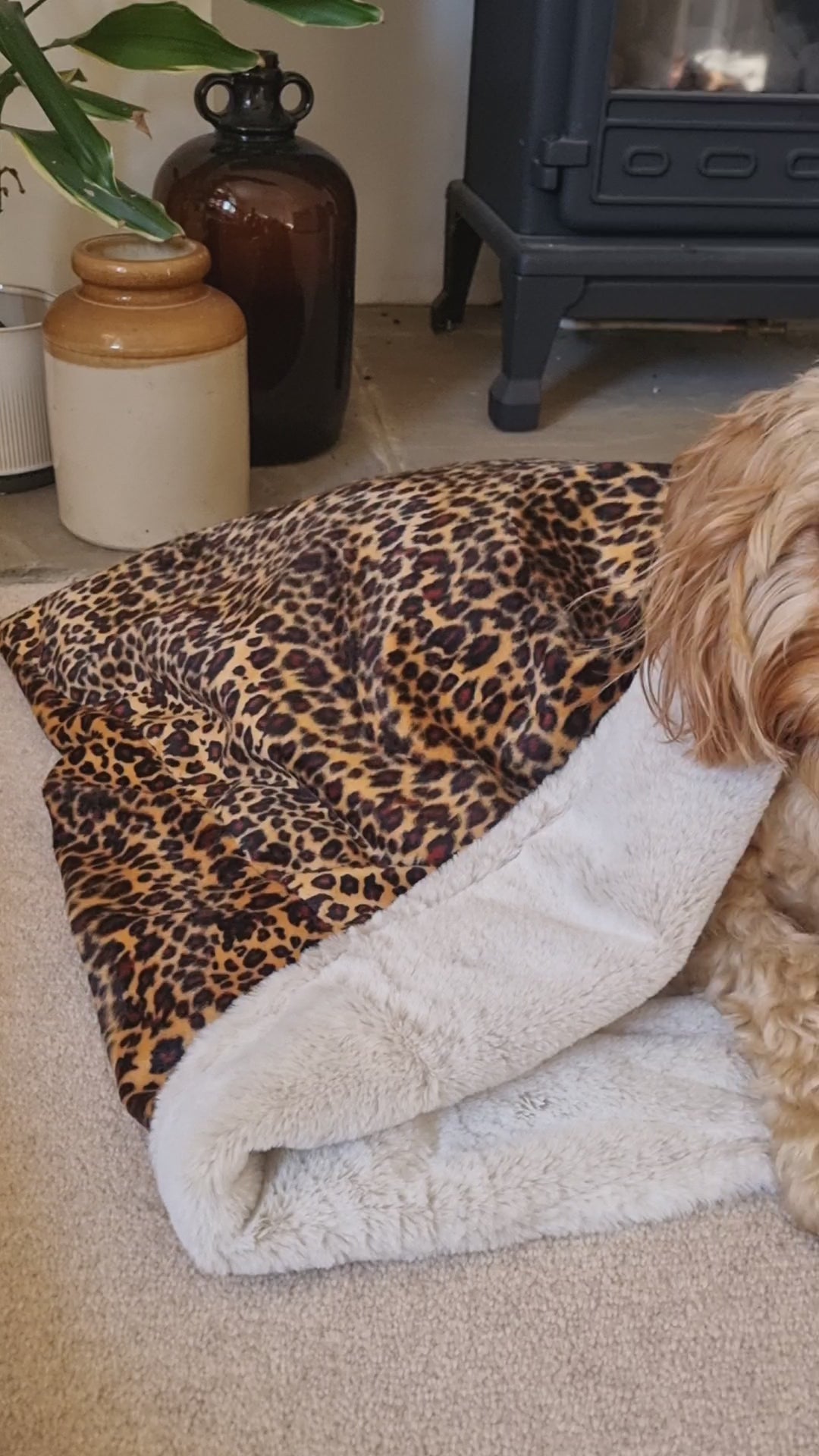 Leopard print snuggle sack for dogs. This animal print snuggle den provides comfort and warmth to all dogs, cats, guinea pigs.